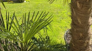 Une maison avec un toit recouvert de tuiles rouges, entourée d’une pelouse bien entretenue et de diverses plantes tropicales.
