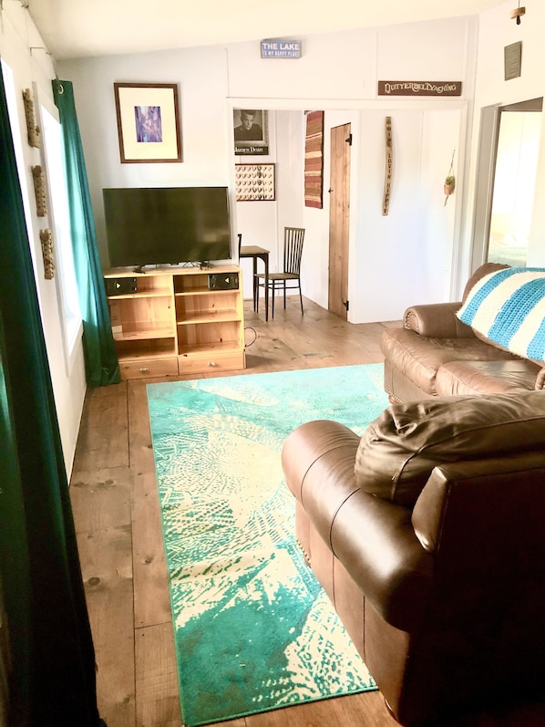 Smart TV - Finger Lakes Cottage (Ovid)