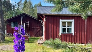 Un bâtiment en bois rouge, avec un toit en métal, une fenêtre blanche et une échelle en bois appuyée contre le mur.