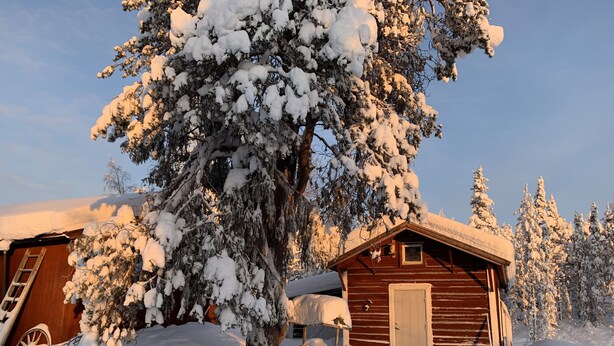 Une cabane en bois entourée d’arbres couverts de neige.