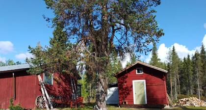 Tiny Timber Lodge from early 1900s