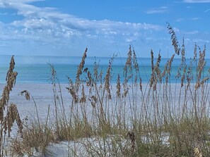 Beach nearby, sun loungers - Waterfront Treasure Island Condo, Dolphins, Elevator, 1 Block to Beach (Treasure Island)