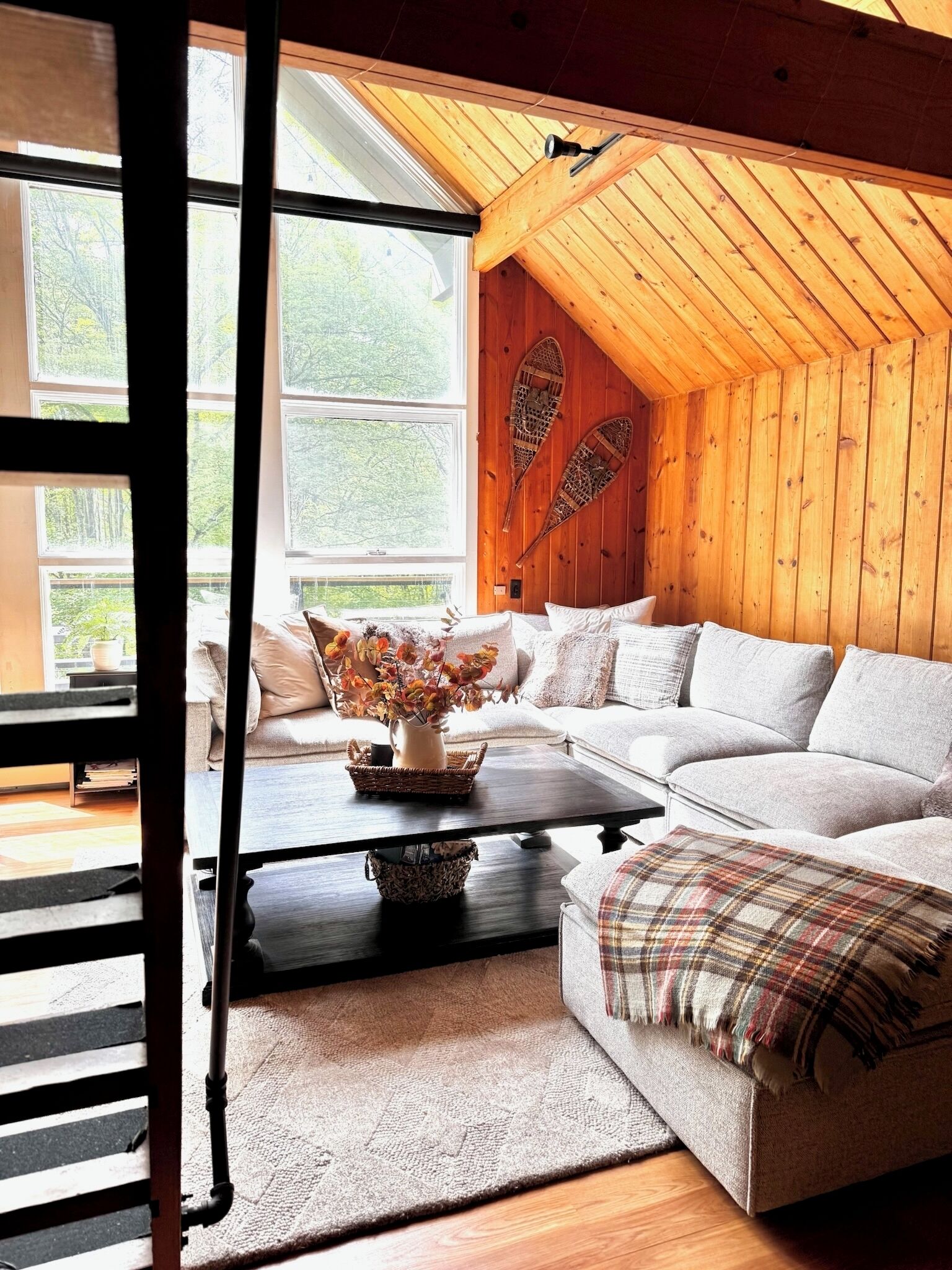 Smart TV, video games, books, computer monitors