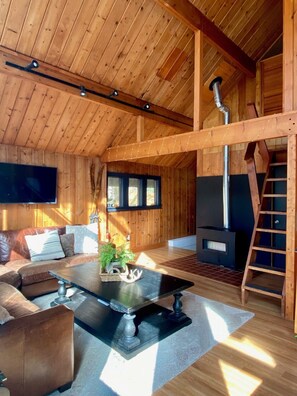 Smart TV, video games, books, computer monitors