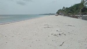 Een breed zandstrand met een rustige zee, palmbomen en enkele hutjes langs de kust.