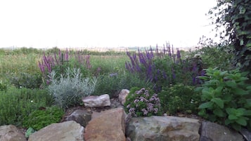 Cabin | Garden