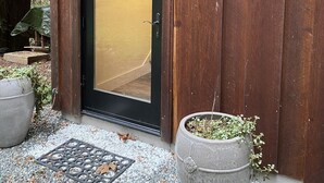 Puinen ovi, jossa on musta kehys ja lasiruutu, ruukussa oleva kasvi ja maassa oleva metalliritilä.