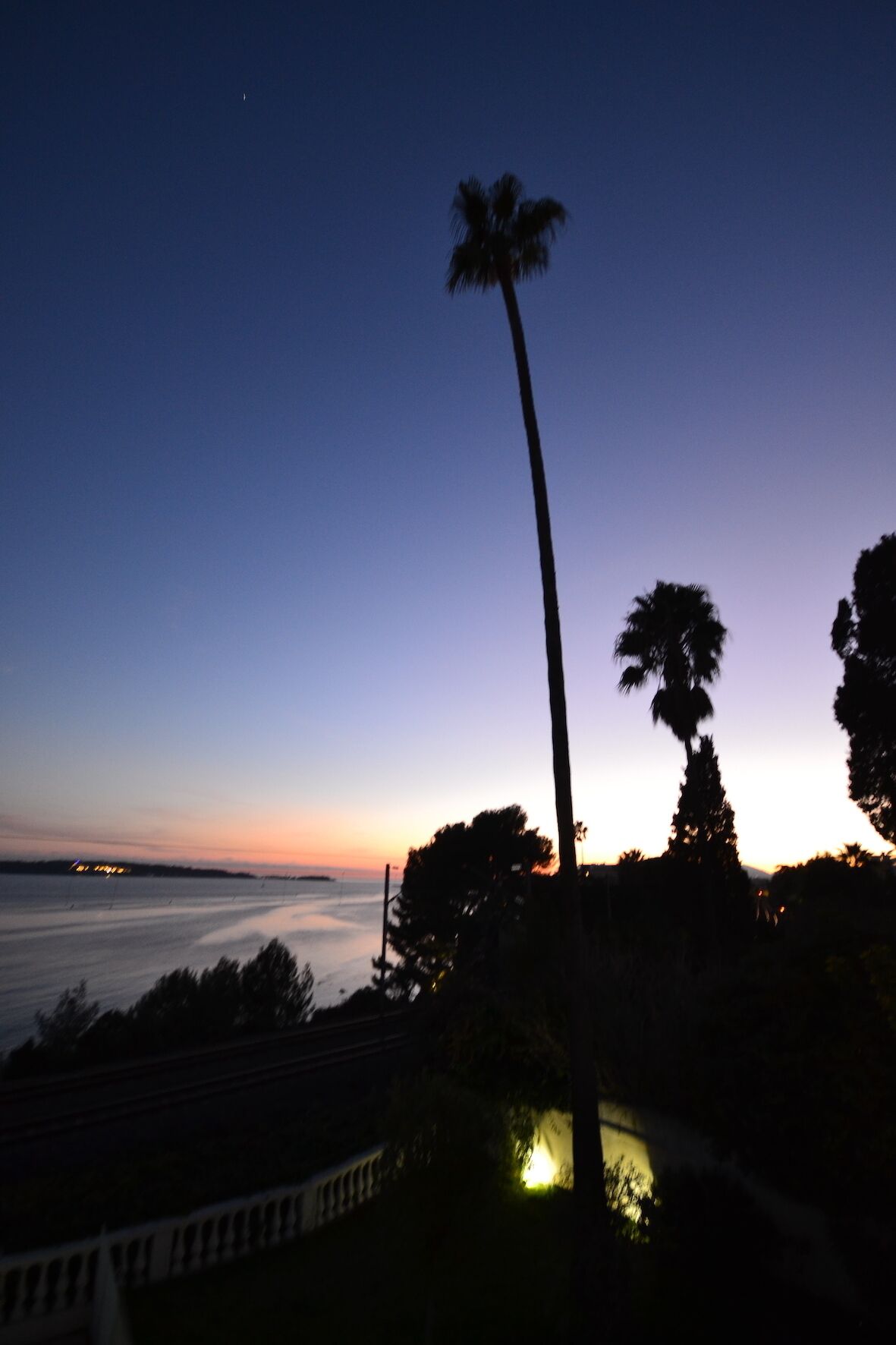 A sunset view with a palm tree silhouette against a clear sky.