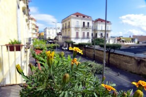 ห้องพักรวม | วิวจากห้องพัก