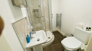 Ein Badezimmer mit einer Duschkabine, einem Waschbecken mit Seife, einer Toilette und einem Handtuchhalter.