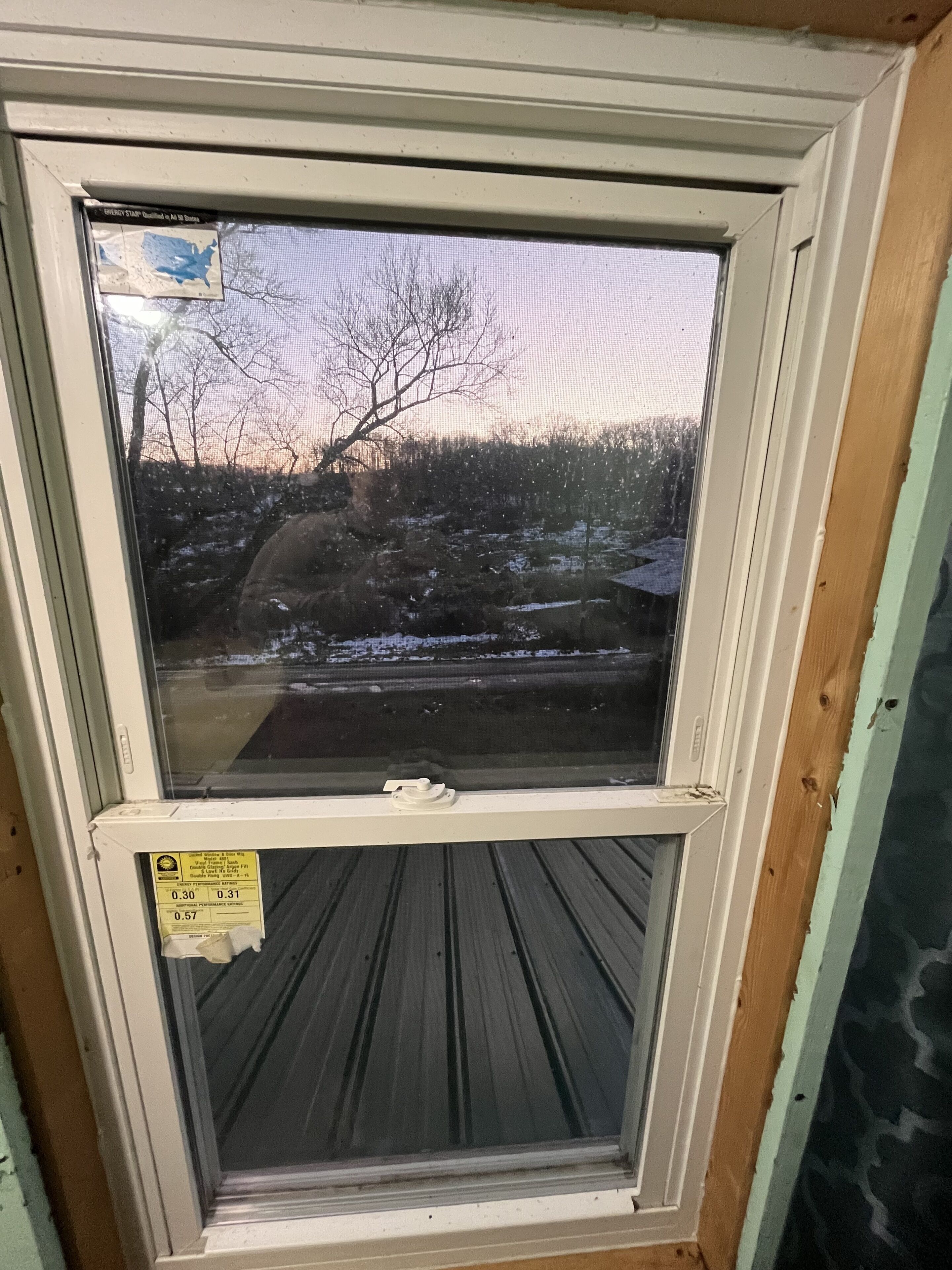 A window with a view of a snowy landscape and bare trees.