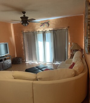 TV