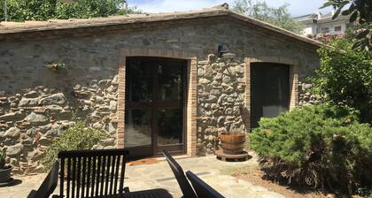 Dotty's house