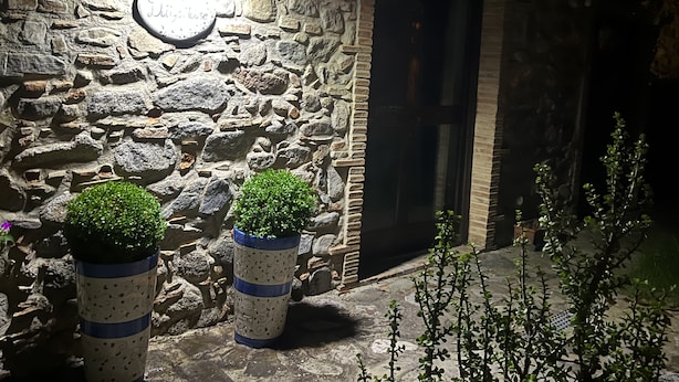 Un muro di pietra con un cartello illuminato e due piante in vaso.