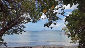 Una playa con algas dispersas, un columpio y veleros a lo lejos.