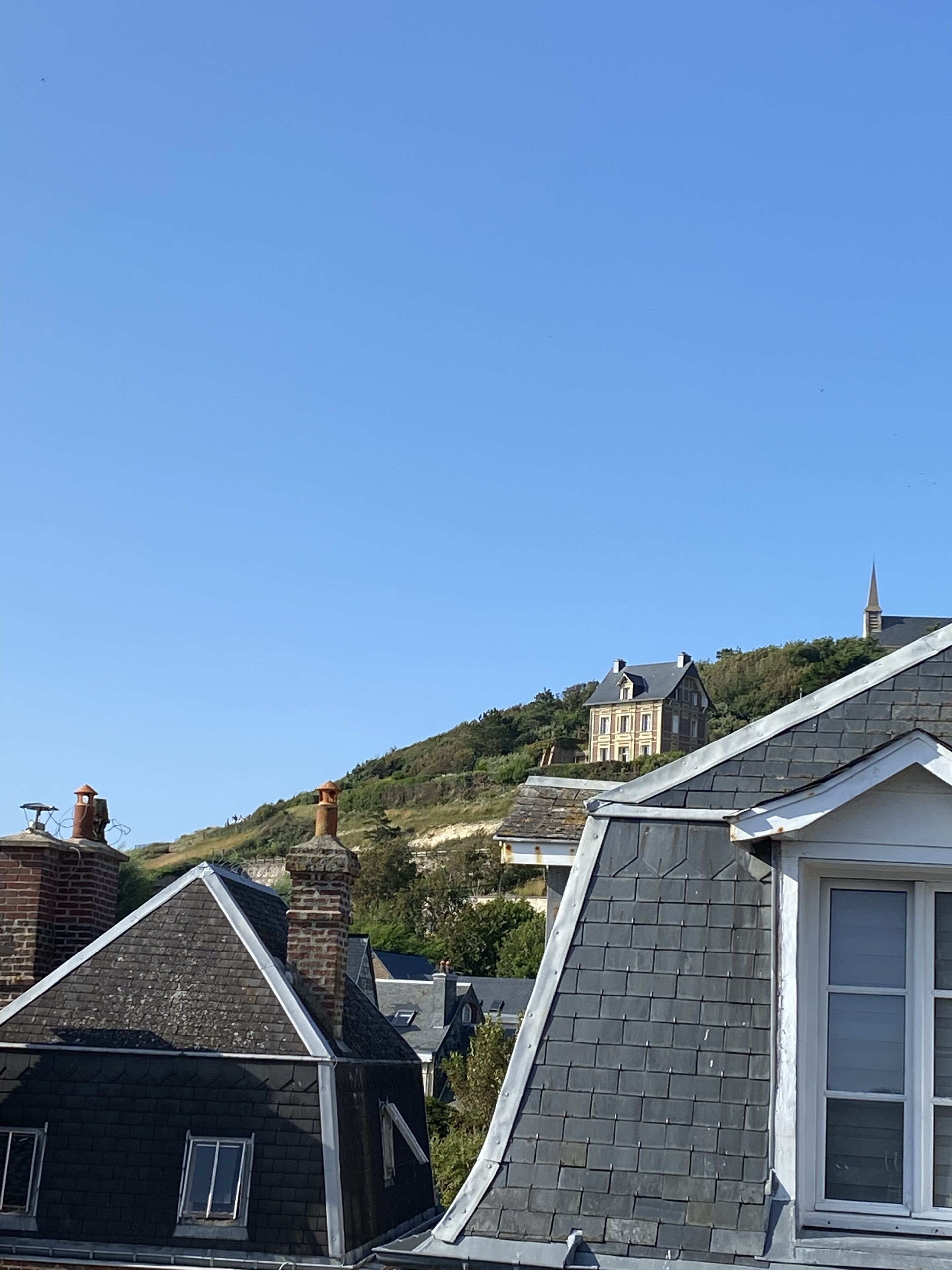 Un quartier résidentiel situé sur une colline, avec des maisons aux toits pentus et aux cheminées en briques.