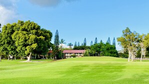Un terrain de golf avec un grand arbre, un bâtiment doté d’un toit rouge et un ciel bleu dégagé.