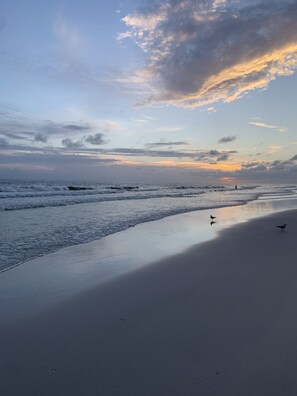 A beach with waves and birds.