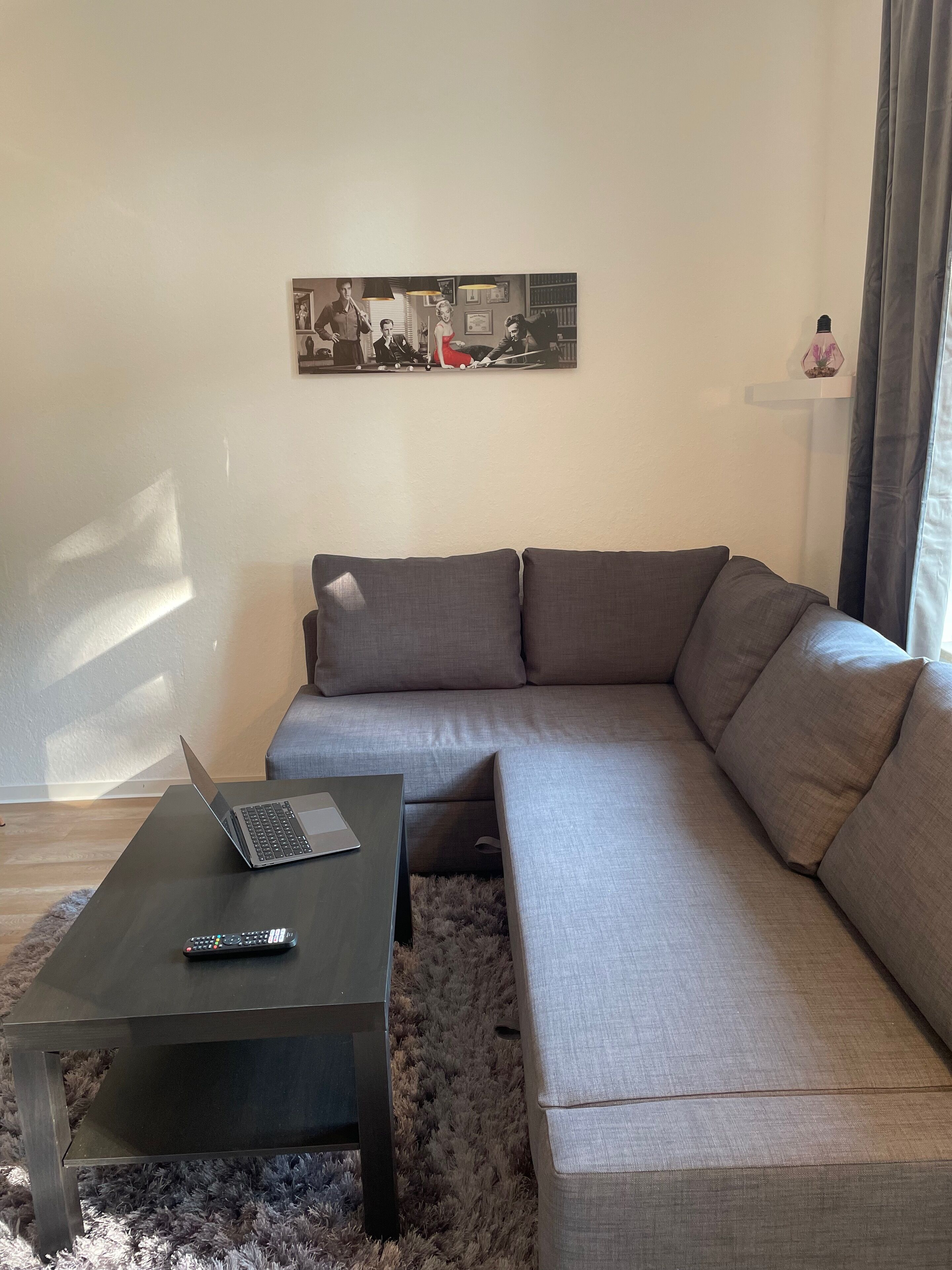 Ein modernes Wohnzimmer mit einem grauen Sofa, einem Couchtisch mit einem Laptop und einer Fernbedienung sowie einem gerahmten Bild an der Wand.