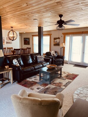 TV connectée, cheminée, livres