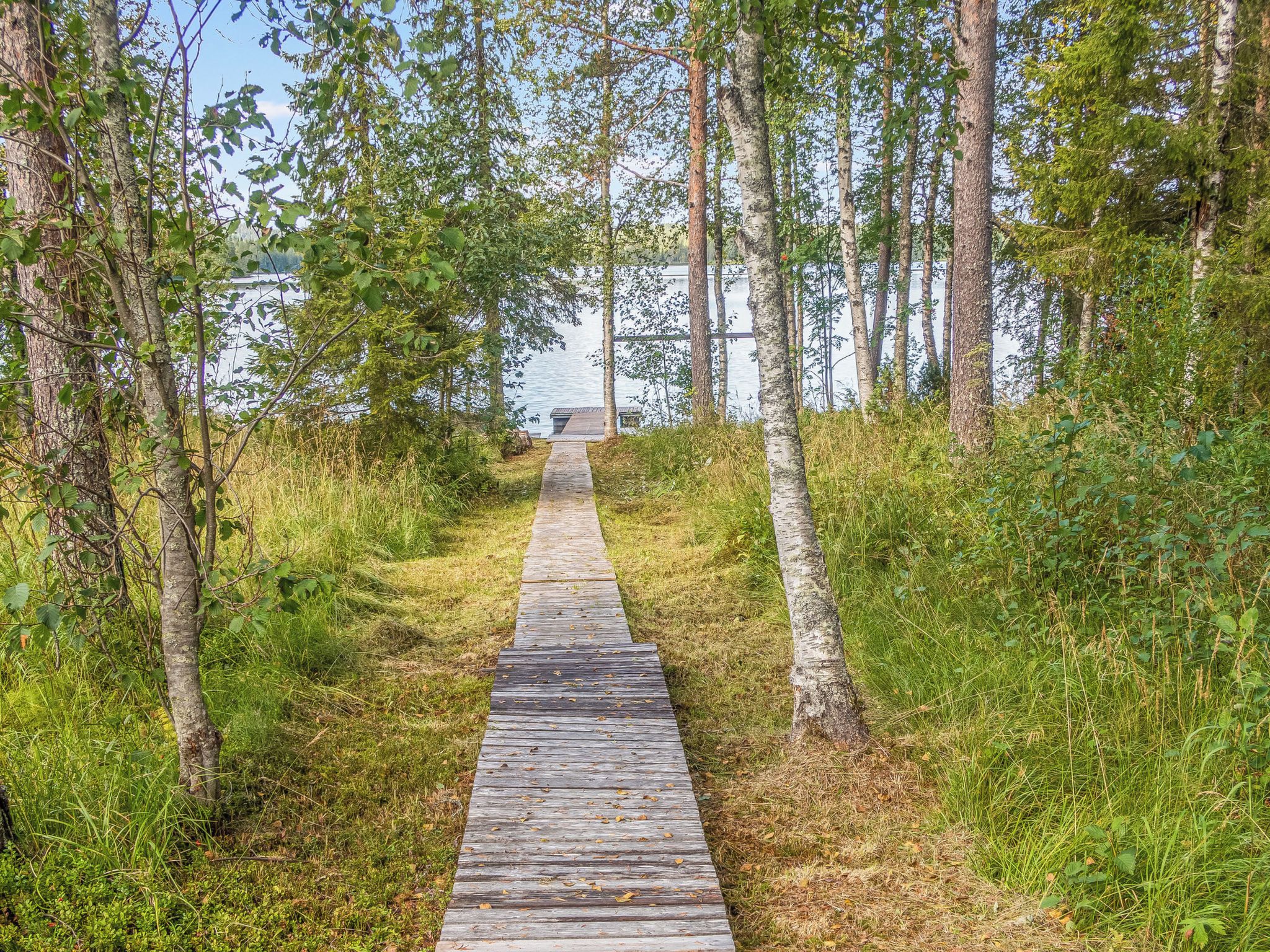 Une promenade en bois traverse une zone boisée et mène à un plan d’eau.