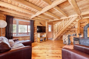 Una Smart TV, una chimenea, libros