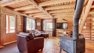 TV connectée, cheminée, livres