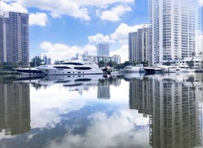 Imagen sin descripción, 4 de 29, botón