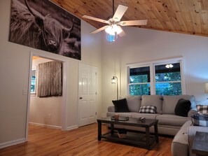 Smart TV, fireplace, books