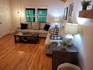 Smart TV, fireplace, books