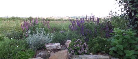 Àrea exterior de l'allotjament