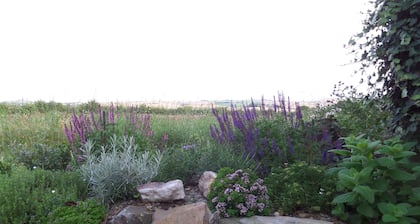 Charming 1-Bed Garden Lodge in Boyndie, Banff
