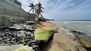 Rantaviertä pitkin kulkeva kävelyreitti, jossa on betoniseinä, palmuja ja hiekkaranta.
