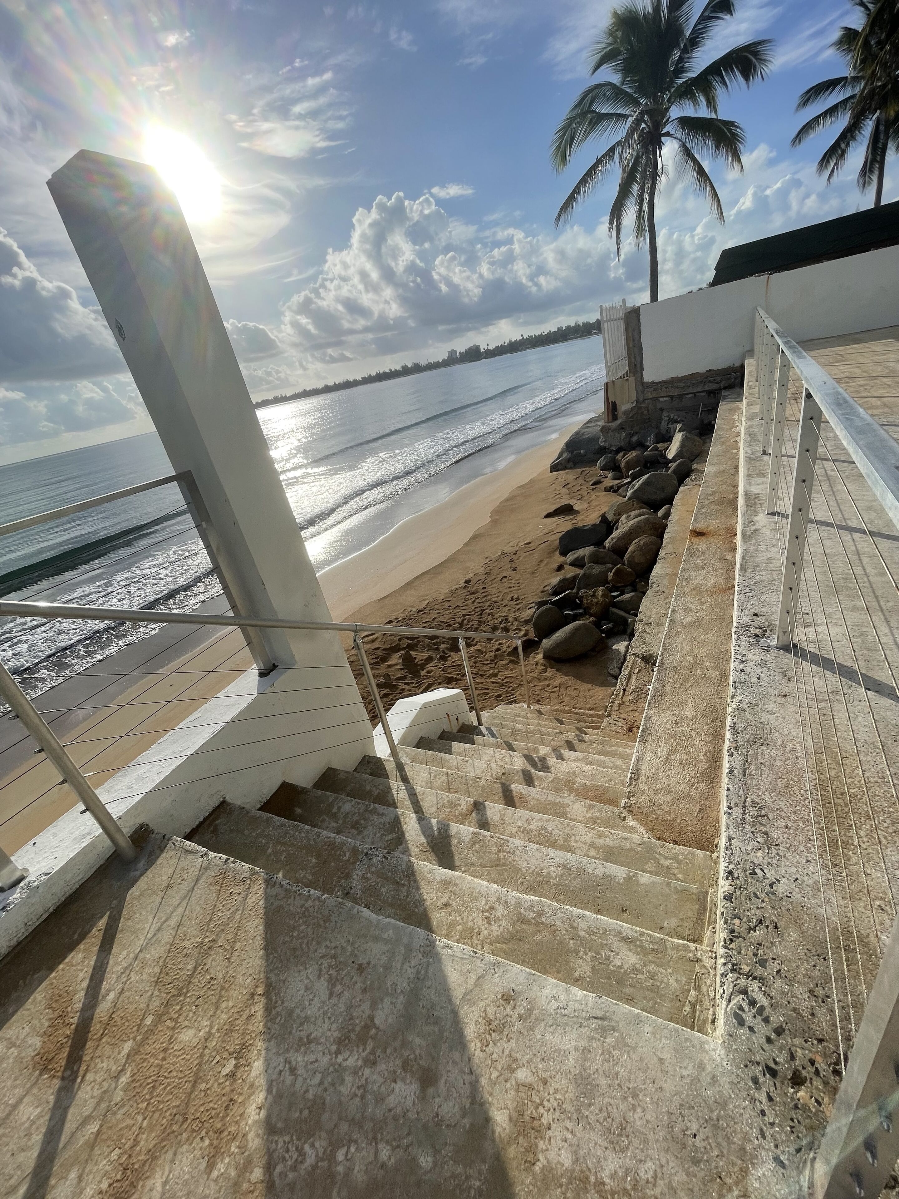 A staircase leading to a beach with a palm tree and a view of the ocean.