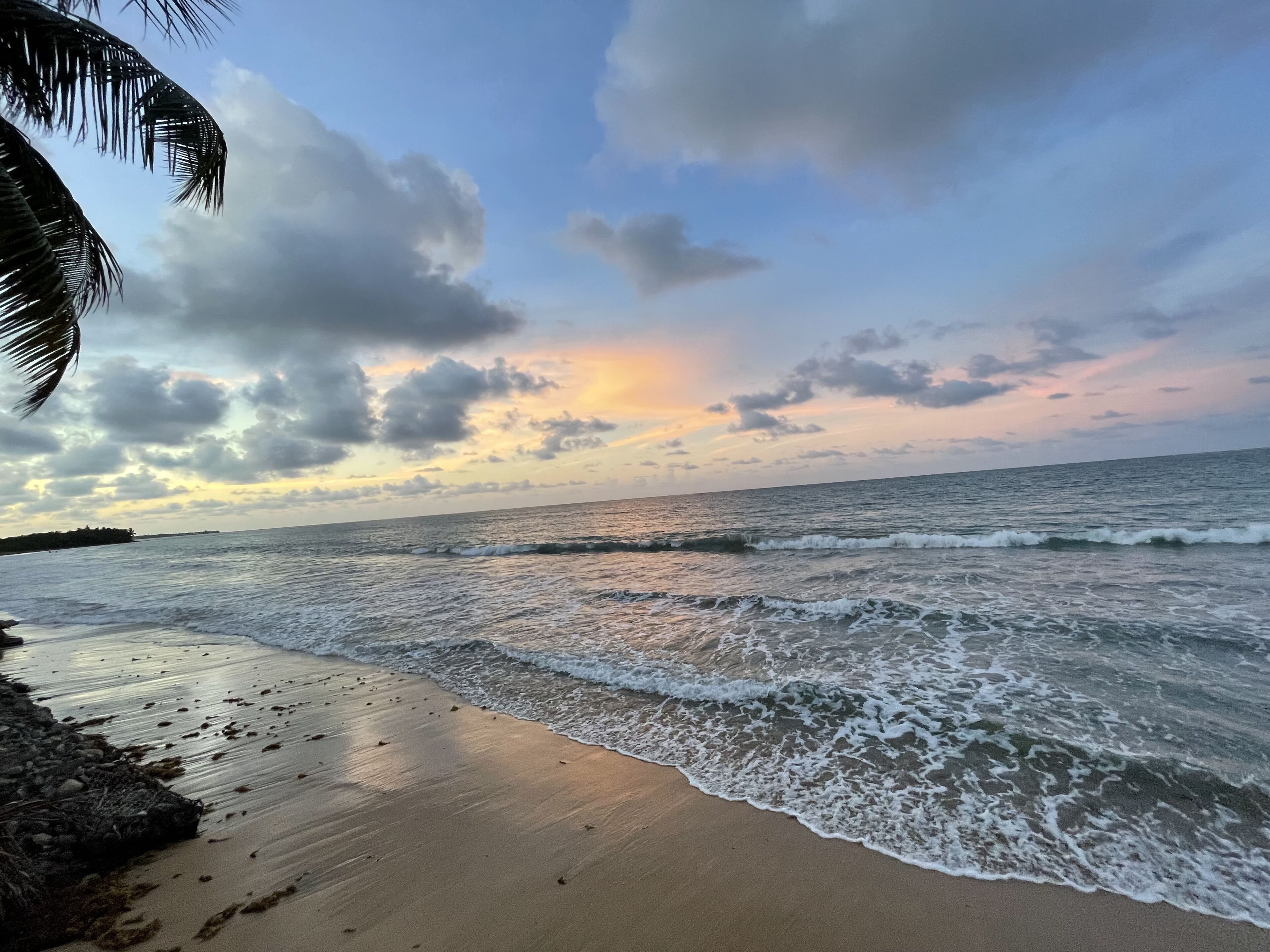 Une plage avec des vagues, un palmier et un coucher de soleil.