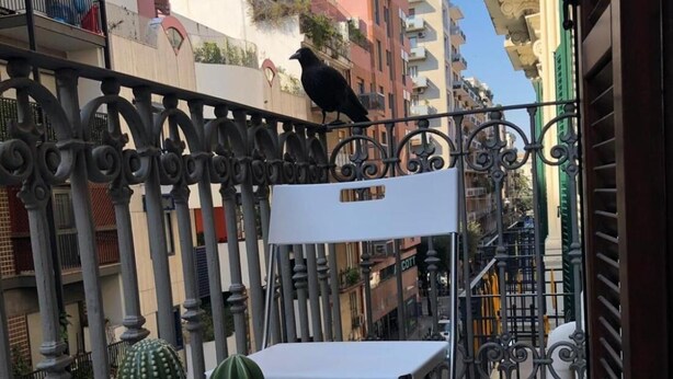 A balcony with a metal railing, a white table, and a cactus. - in the Heart of the City of Bari (Bari)