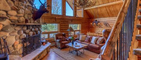 TV, fireplace, DVD player