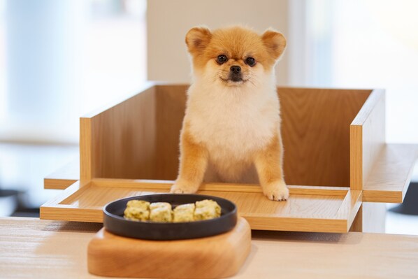 Property amenity - SONO PET CLUBS & RESORTS SonoCalm Goyang (Goyang)