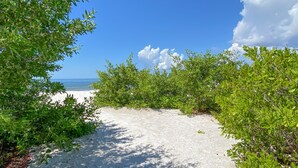 Un sentier qui mène à une plage, avec un ciel dégagé et une vue sur l’océan à l’horizon.