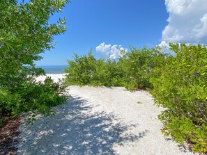 On the beach