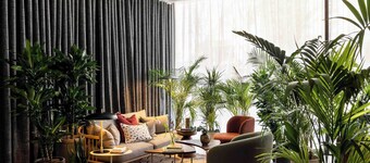 Cove Landmark Pinnacle