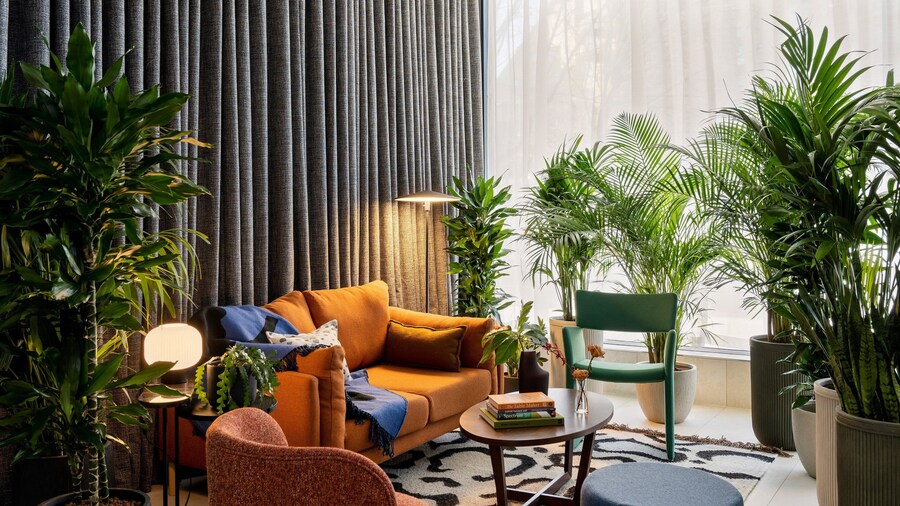 Cove Landmark Pinnacle