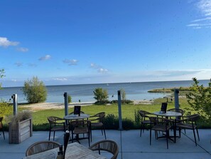 Outdoor dining - 12P 5B Spacious villa near IJsselmeer and forest (Rijs)