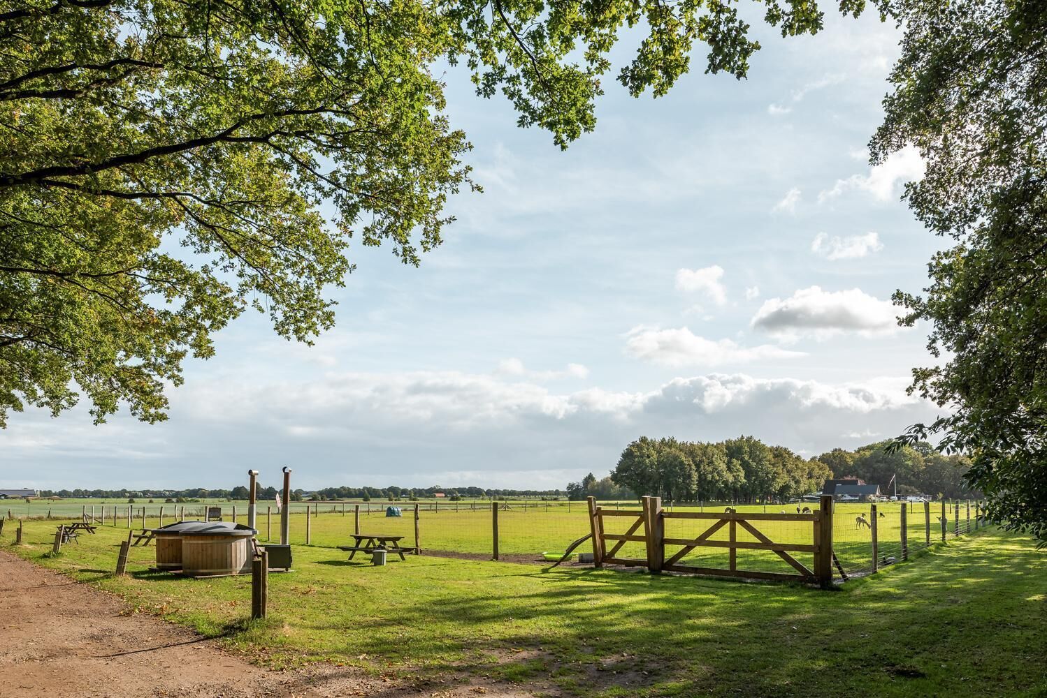A rural park with picnic tables, a wooden gate, and a small shed.