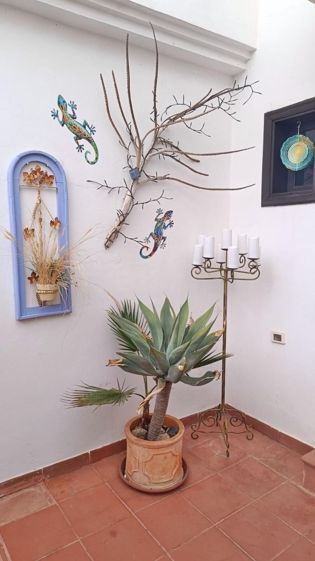 A corner with a potted plant, a wall-mounted branch, a candelabra, and a framed mirror.