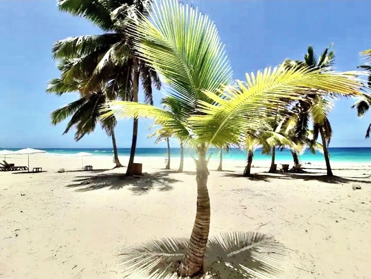 Kondominium, 2 kamar tidur, akses difabel, Boleh Merokok | Pantai | Pantai di sekitar