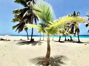 Condo, 2 Bedrooms, Accessible, Smoking | Beach