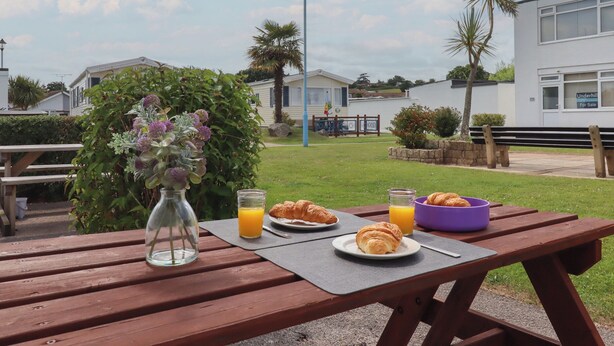 Une table de pique-nique avec des croissants, du jus d’orange et un vase de fleurs.