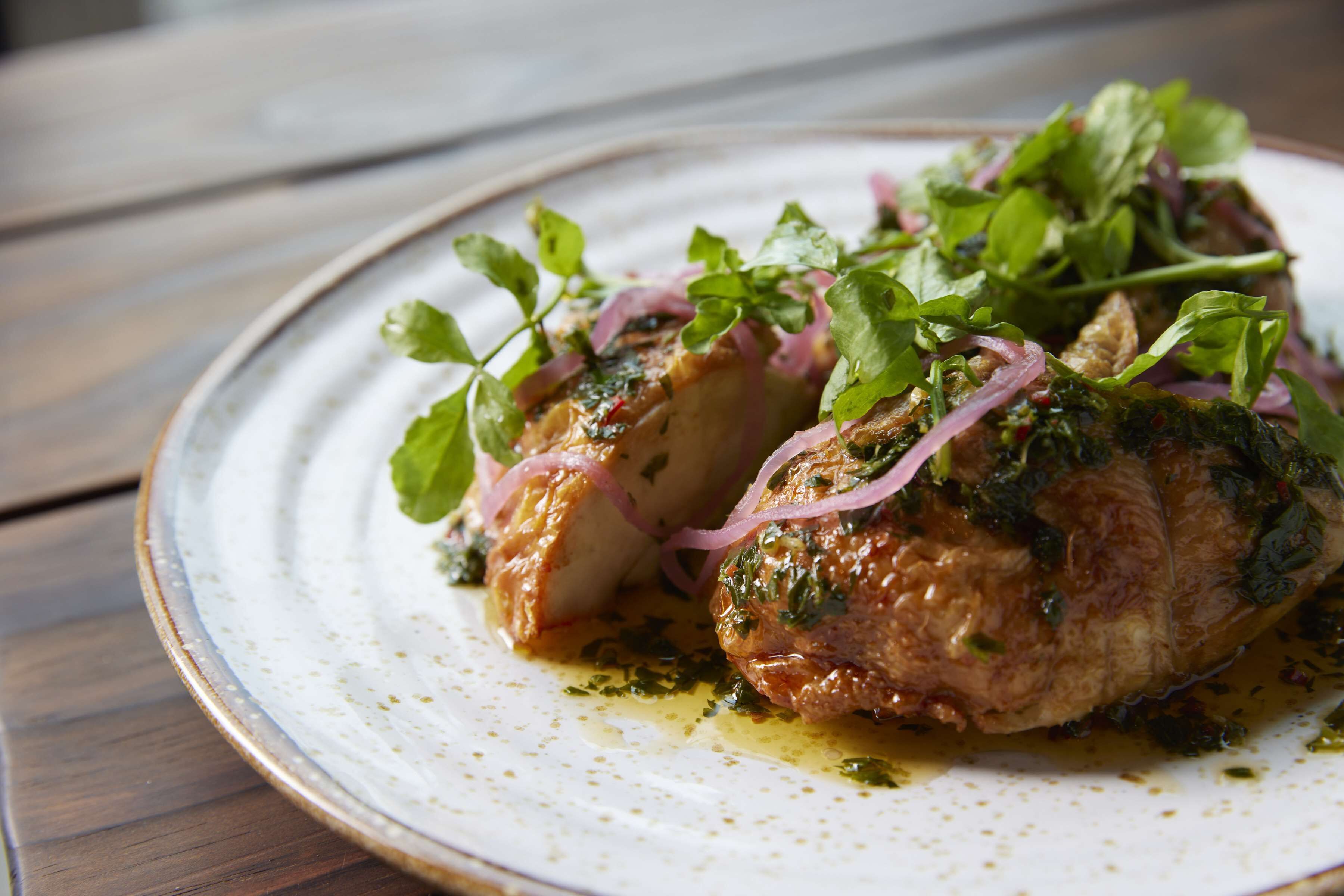 A plate with a piece of meat garnished with herbs and red onions.