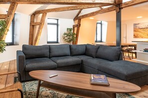 Fernseher, Arbeitsbereiche